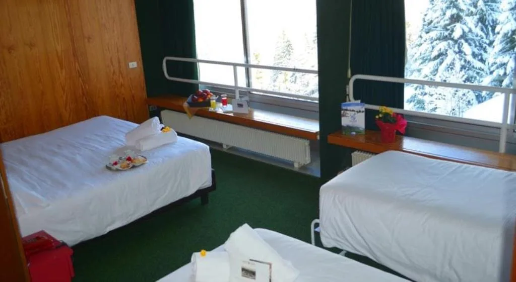 Camera tripla con letti singoli, moquette verde e vista sugli abeti innevati